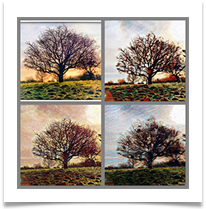 2020 19  Tatton tree IMG_0794 - Carol Sparkes